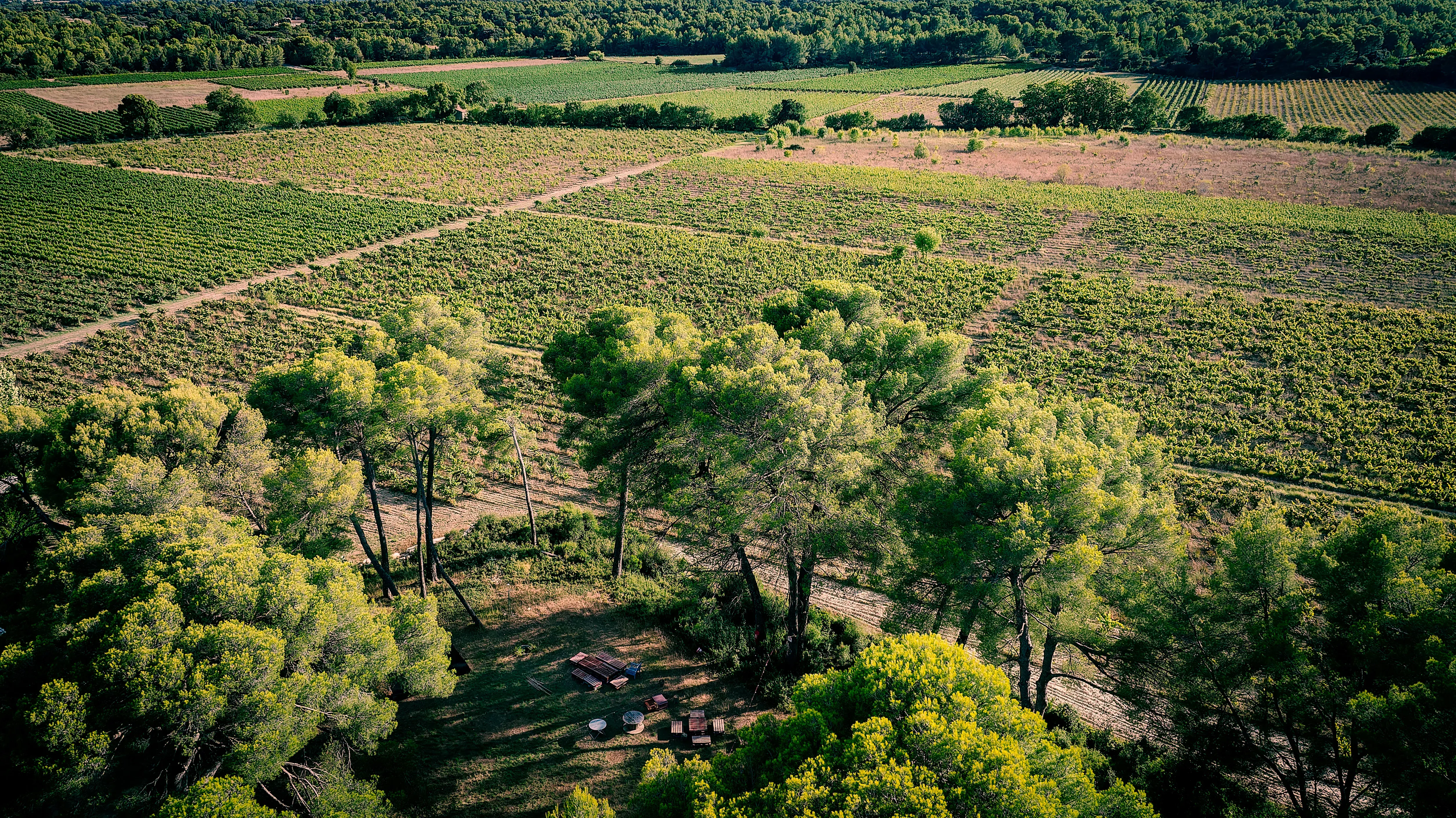Photo au drone d’un domaine viticole