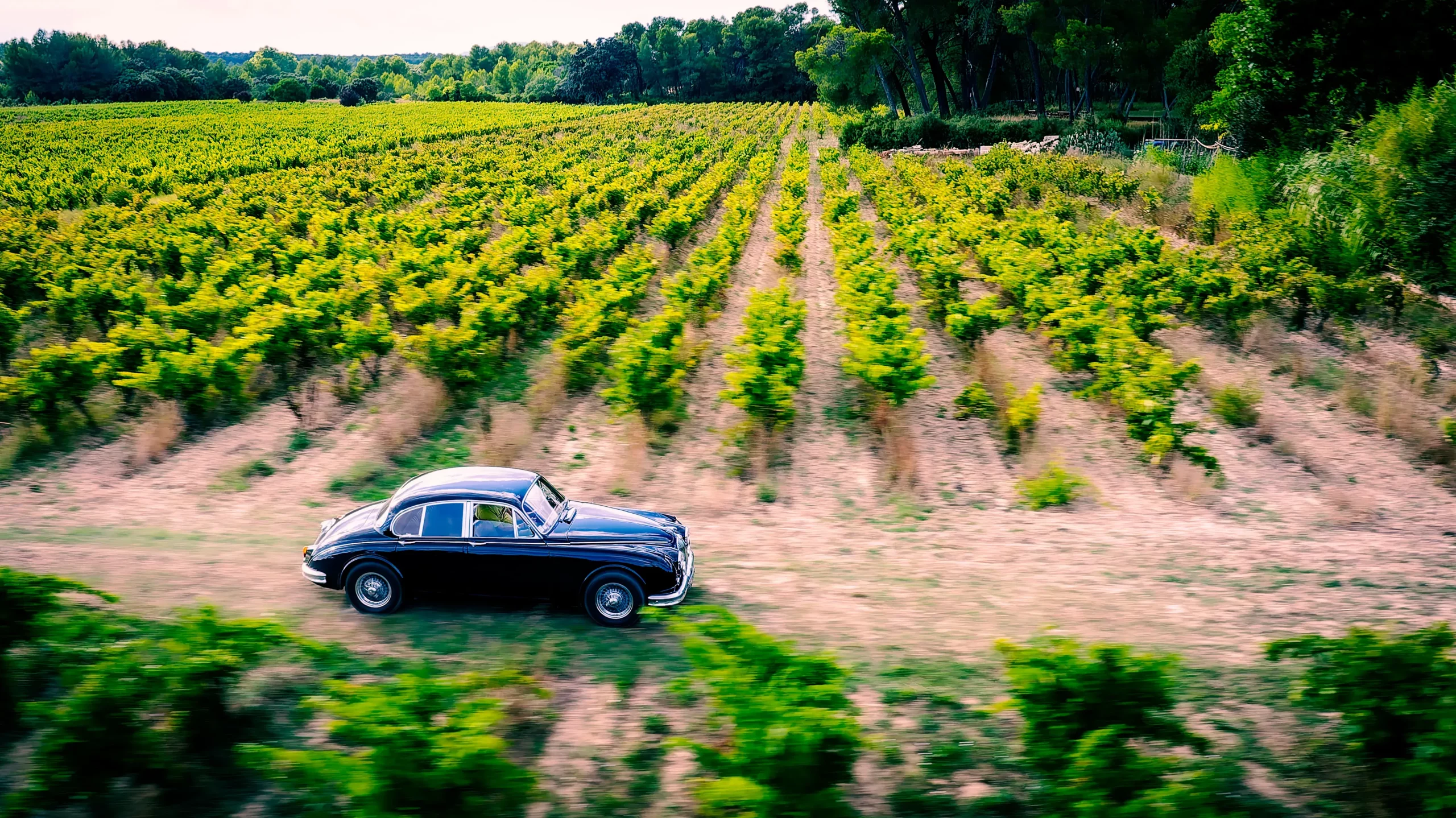Voiture de collection filant dans les vignes vue par drone